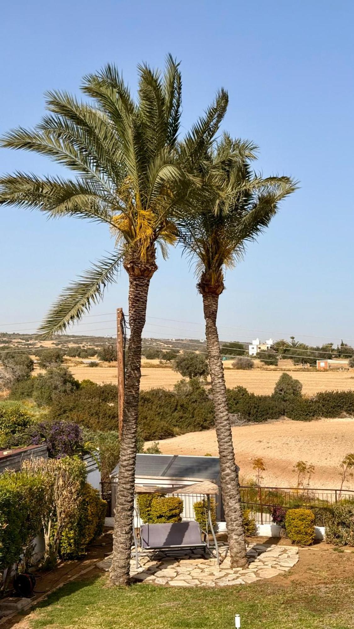 Villa Hera Agios Theodoros Eksteriør billede
